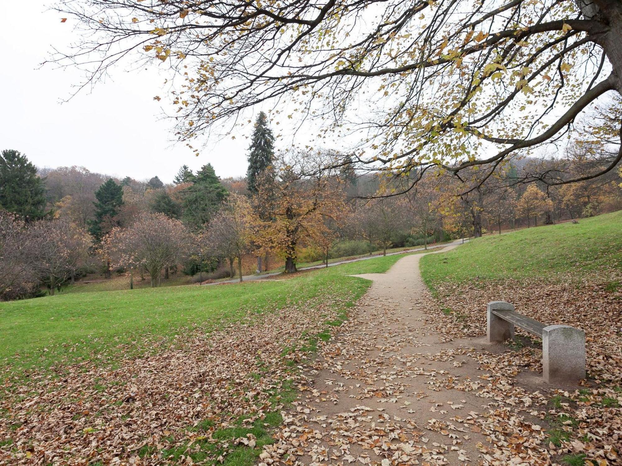 Beautiful Apartment In D Rnthal Near The Forest Voigtsdorf Bagian luar foto